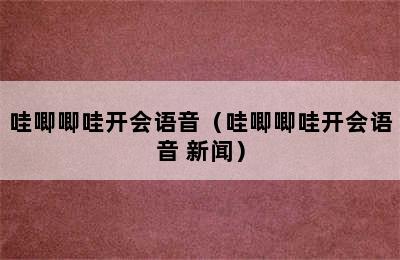 哇唧唧哇开会语音（哇唧唧哇开会语音 新闻）